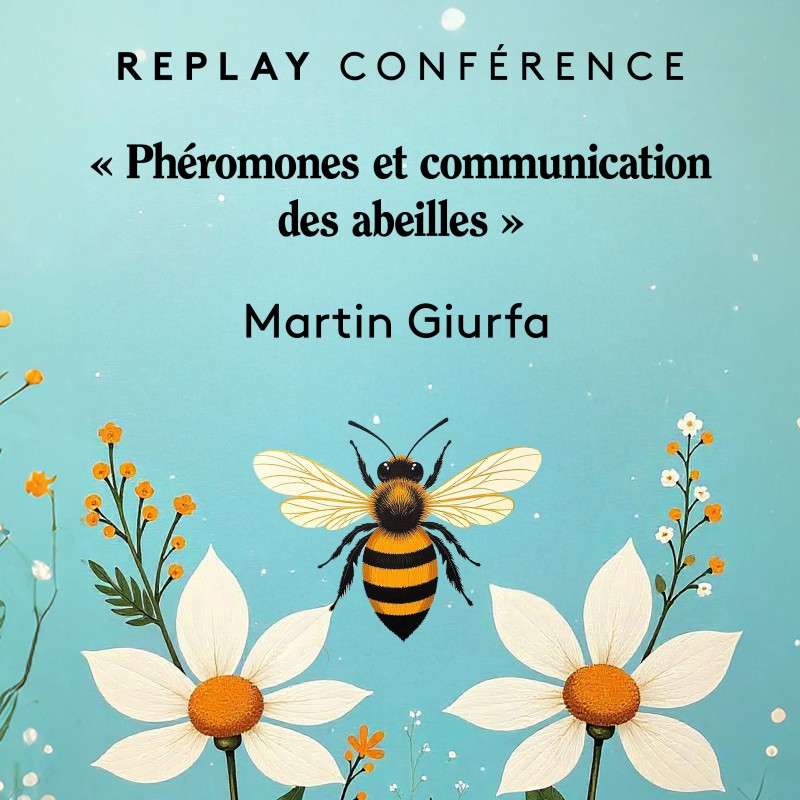 Replay of Martin Giurfa's conference